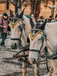 A Winter Fairytale – 3D2N in Magical Prague