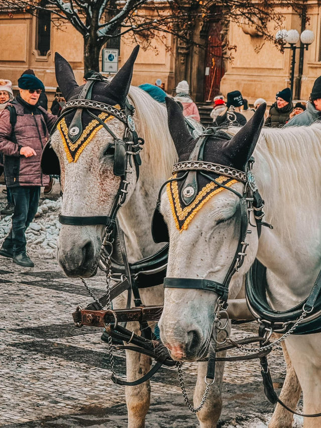 A Winter Fairytale – 3D2N in Magical Prague