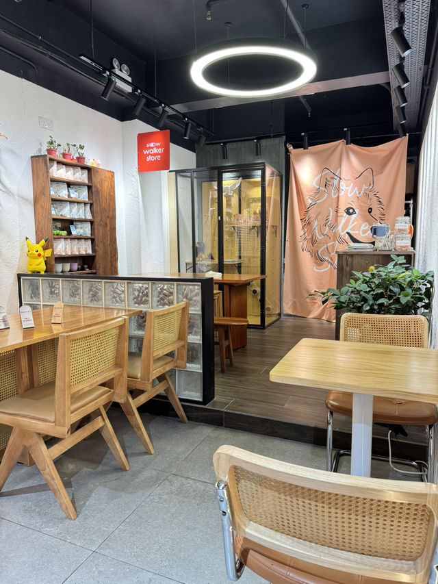 【香港廟街】 探店佐敦• 簡約、文青風優質咖啡店（1）