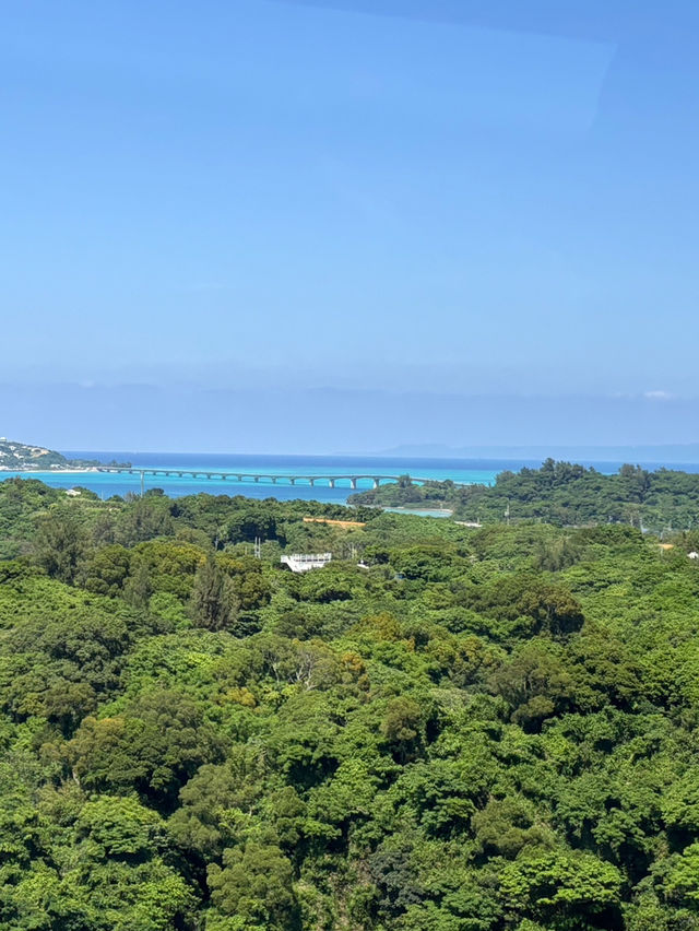 從本島通往戀之島：古宇利大橋的浪漫傳說