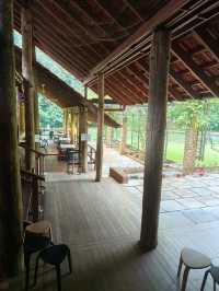 A Cozy Lunch in Nature at Pineyard, Genting Highlands