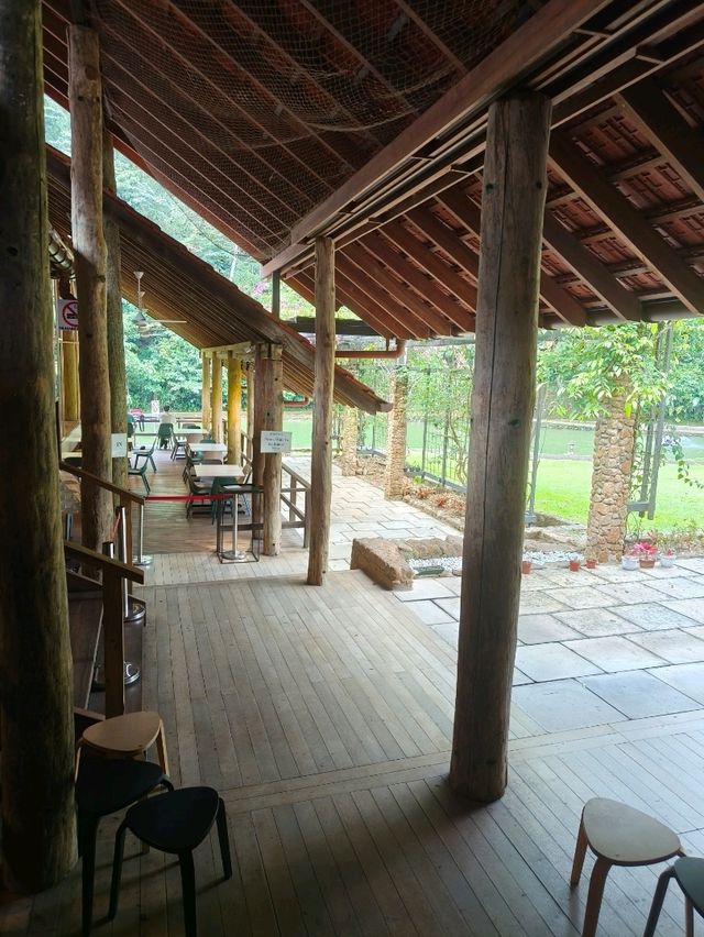 A Cozy Lunch in Nature at Pineyard, Genting Highlands
