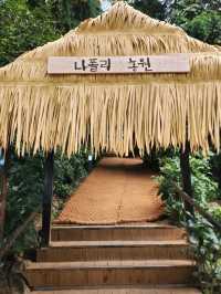 나폴리농원