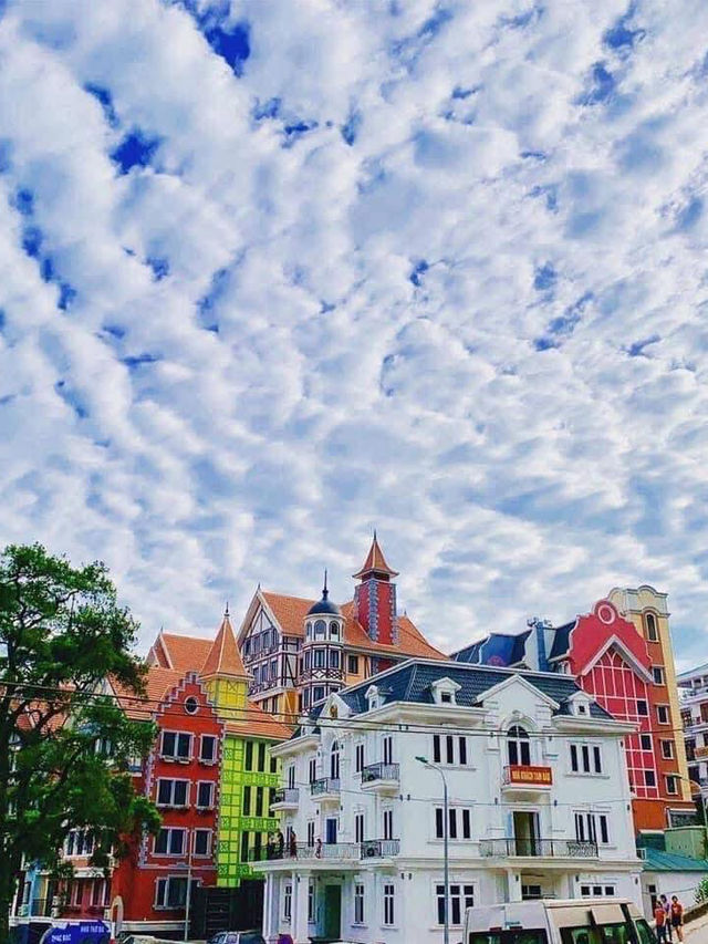 Tam Đảo ngày nắng đẹp 🌞