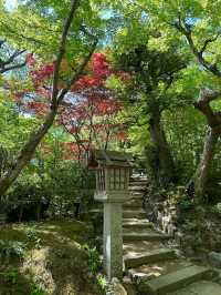 Hidden Temple In Arashiyama