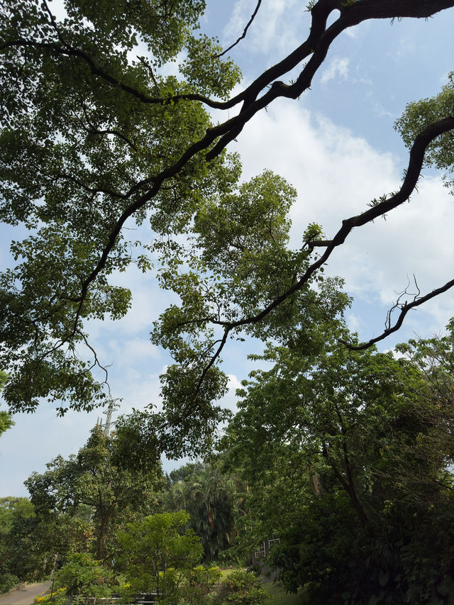 台北｜自來水園區與小觀音山生態步道一日遊