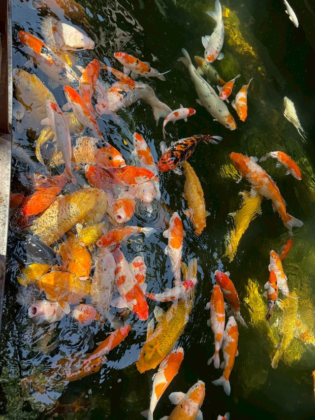 Suzhou Shanghai 