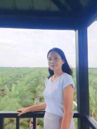 สวนทุ่งทองคำ (สวนอินทผาลัม) 