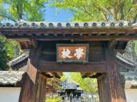 【 春の栃木② 】 あしかがフラワーパークと訪れたい近隣スポット🚶‍♀️