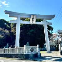 🇯🇵【愛媛県】迫力の鳥居⛩️三嶋神社⛩️^ ^