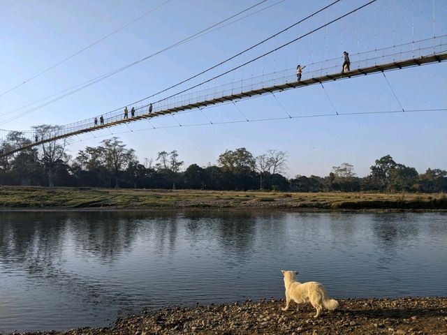 【ネパール🇳🇵】チトワン国立公園近くの魅力的な村ソーラハ🐘
