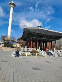 3 Days in Busan: Beaches, Street Food & Scenic Adventures – The Perfect Itinerary!