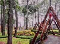 A Scenic Getaway in Kirirom National Park, Cambodia