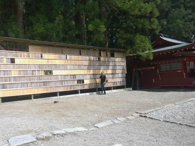 Enchanted Moments at Nikko Toshogu Shrine