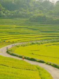 Pù luông