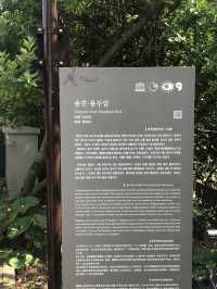 뚜벅이의 제주 혼자여행 마지막 날 🐳