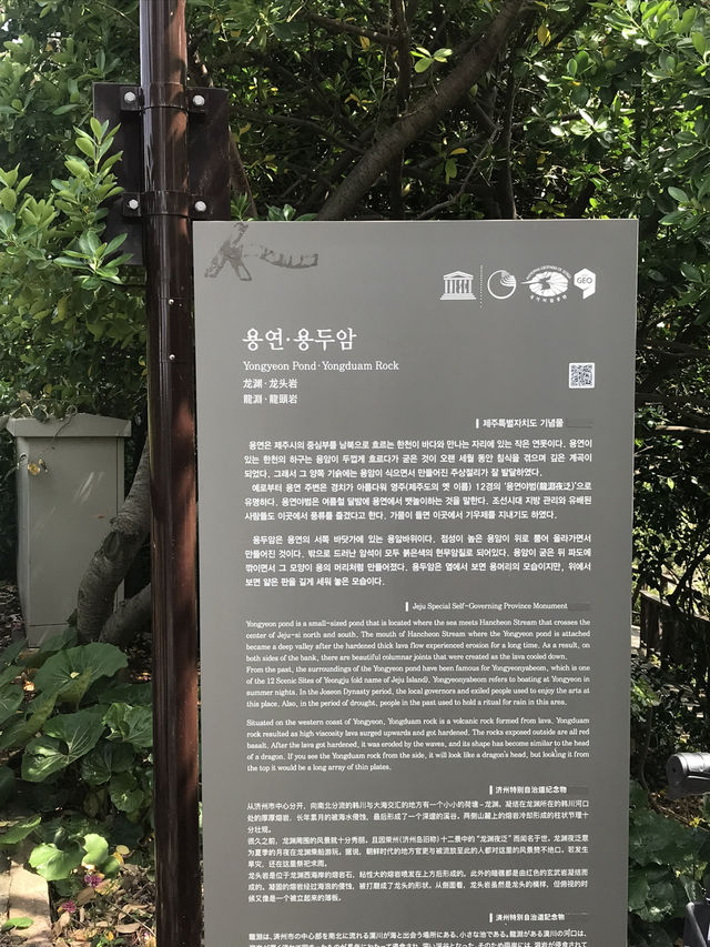 뚜벅이의 제주 혼자여행 마지막 날 🐳