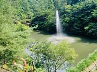 A Peaceful Getaway at Maninsan Forest Retreat