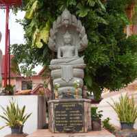 🎋 วัดมีชัยท่า หนองคาย