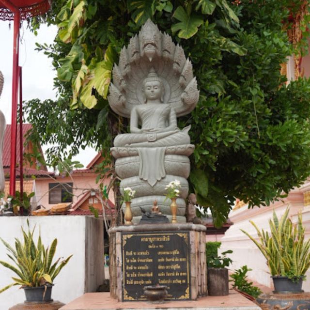 🎋 วัดมีชัยท่า หนองคาย
