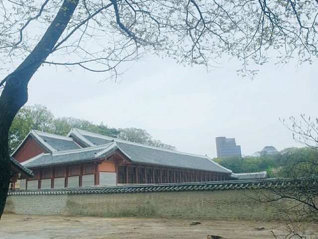 조선의 종묘