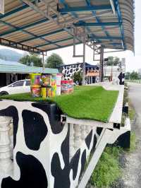 The adventure trip in Pasir Puteh! 