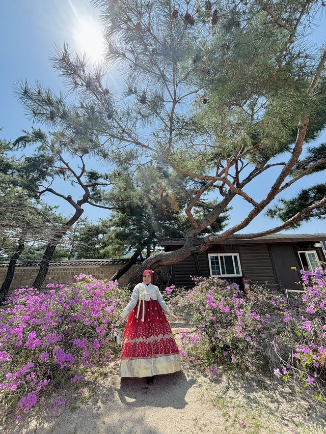 Wearing Hanbok Walk Around Gyeongbokgung Palace😍