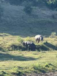 Day Trip Itinerary for Nelspruit