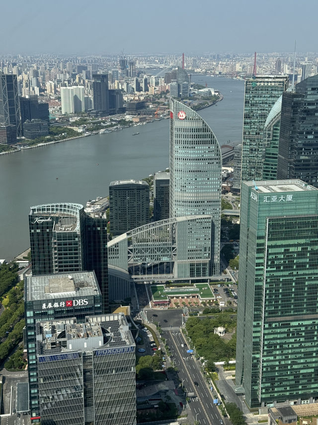 From Zen to Zoom: Epic Days in Shanghai