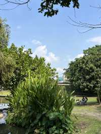 Early Owls คาเฟ่ในเชียงใหม่