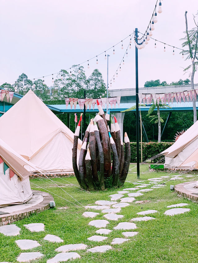 🏕️ Nature Escape: A Glamping Afternoon at The Tribe!