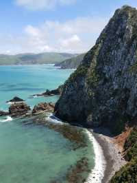 📍紐西蘭。南島【海風與金塊之歌】Nugget Point：在世界的邊緣與自然共舞