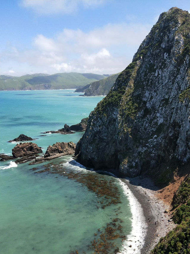 📍紐西蘭。南島【海風與金塊之歌】Nugget Point：在世界的邊緣與自然共舞