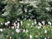 Pashley Manor Gardens – A Timeless English Country Garden