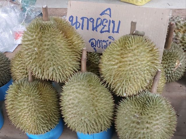 ตลาดกลางผลไม้ เมืองลับแล อุตรดิตถ์