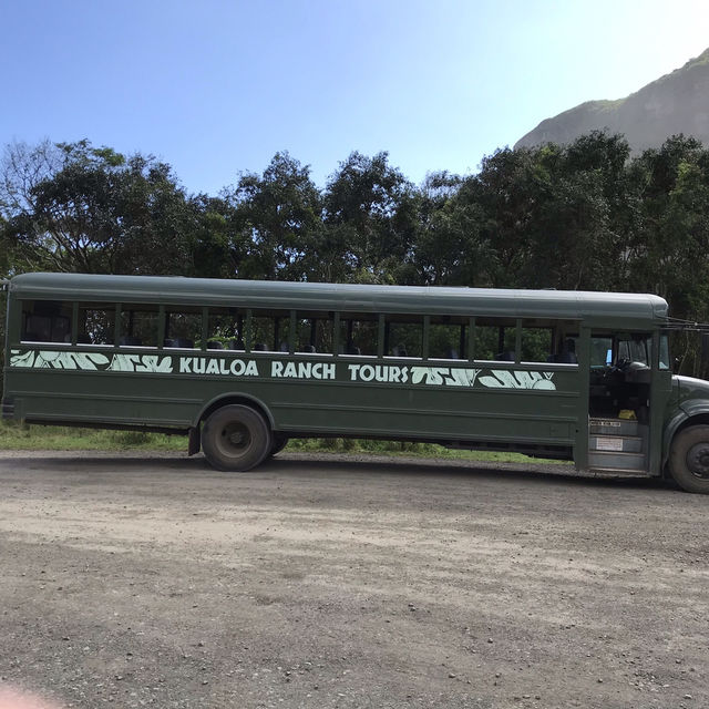 クアロアランチ　ハワイで大自然を楽しむ！⛰