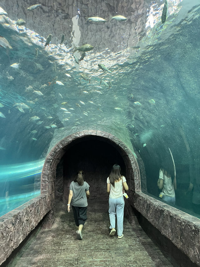 ไปดูปลากันที่ พิพิธภัณฑ์สัตว์น้ำจังหวัดหนองคาย 🐠