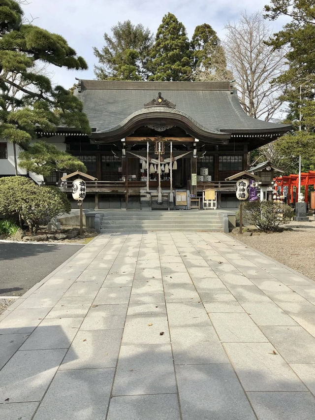 A Laid-Back Day in Hakodate – Bayside Strolls & Starry Views