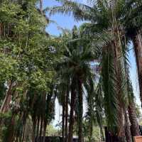 NOMADS HOMESTAY & Restaurant 🌴 ที่พักฟีลดี 