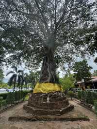 สายมูต้องมา! วัดหน้าพระเมรุ อยุธยา ขอพรพระ
