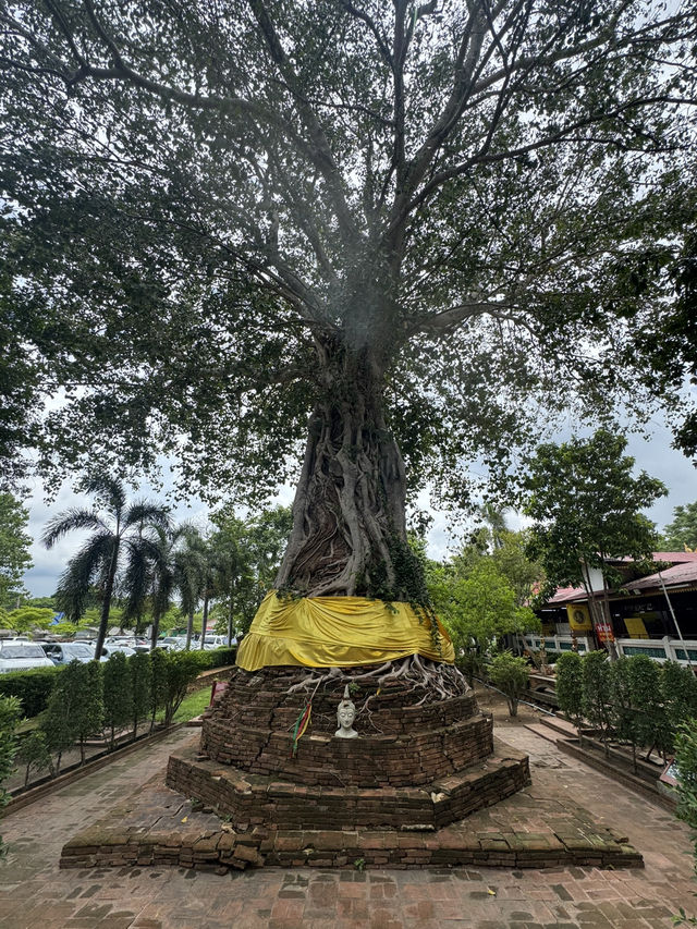 สายมูต้องมา! วัดหน้าพระเมรุ อยุธยา ขอพรพระ