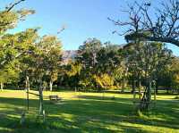 De Waal Park: Where Cape Town Comes to Play