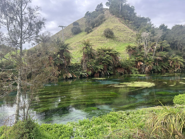 Blue Spring 