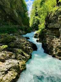 Vintgar Gorge: Slovenia’s Hidden Slice of Wilderness