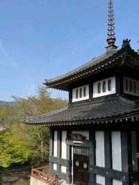 Akizuki Town in Spring