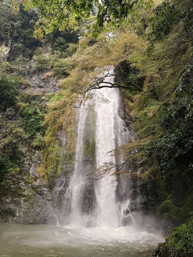 Spring Strolls & Waterfall Goals