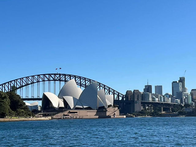 Royal Botanic Garden Sydney – Scenic, Spacious, and Free!
