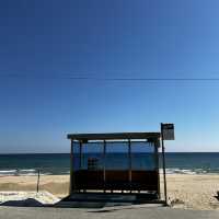ソウルからKTXで片道2時間の日帰り江陵(カンヌン)旅行✨