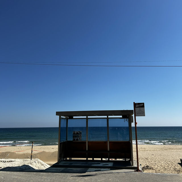 ソウルからKTXで片道2時間の日帰り江陵(カンヌン)旅行✨