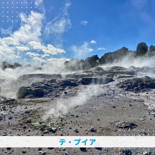 【NZ】🌋オークランドからロトルアへ！